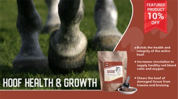 Save 10% Off Hoof Health and Growth Solution for Horses